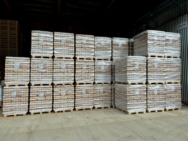 Premium Holzbriketts mit Zugloch 960 kg